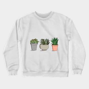 Potted Succulents Crewneck Sweatshirt